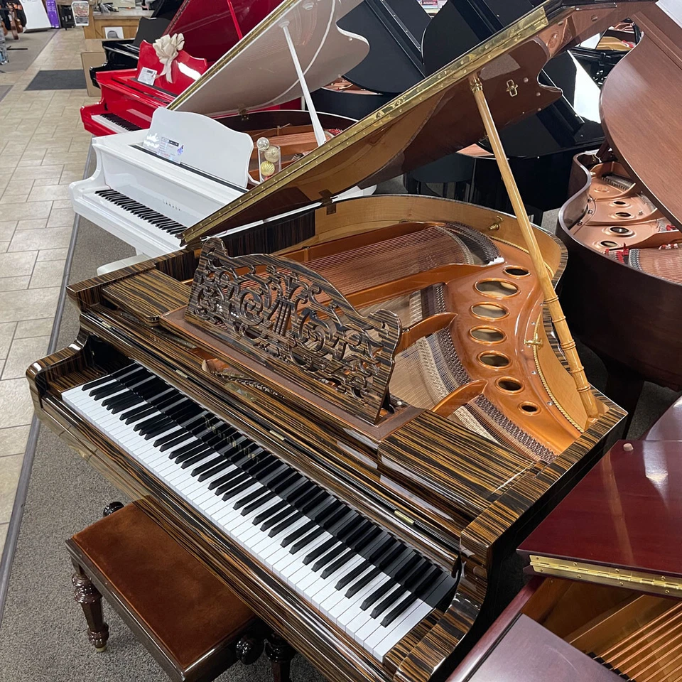De colección Bösendorfer 5'7" salón de cola con sistema de reproductor de coeficiente intelectual de piano Foto 3 de 4
