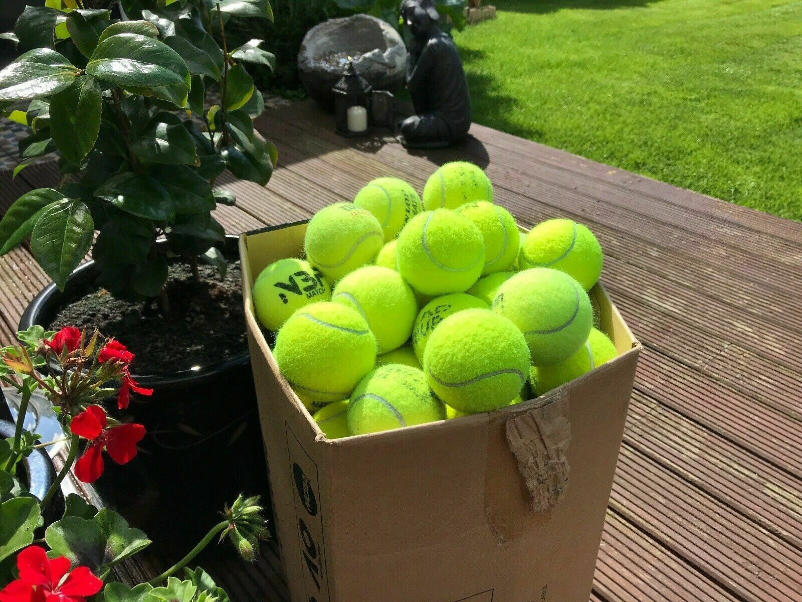 Are Tennis Balls Bad For Dogs