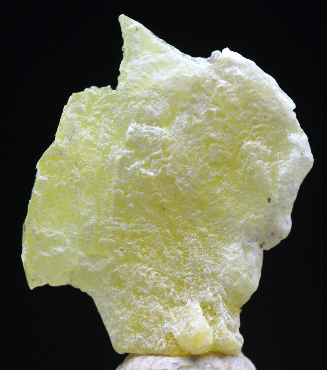 BRUCITE Specimen Yellow Crystal Cluster Mineral PAKISTAN w/ ID card
