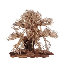 Bonsai Premium Albero L Radice Legno Acquario Decorazione Aquascaping Natura Orientale