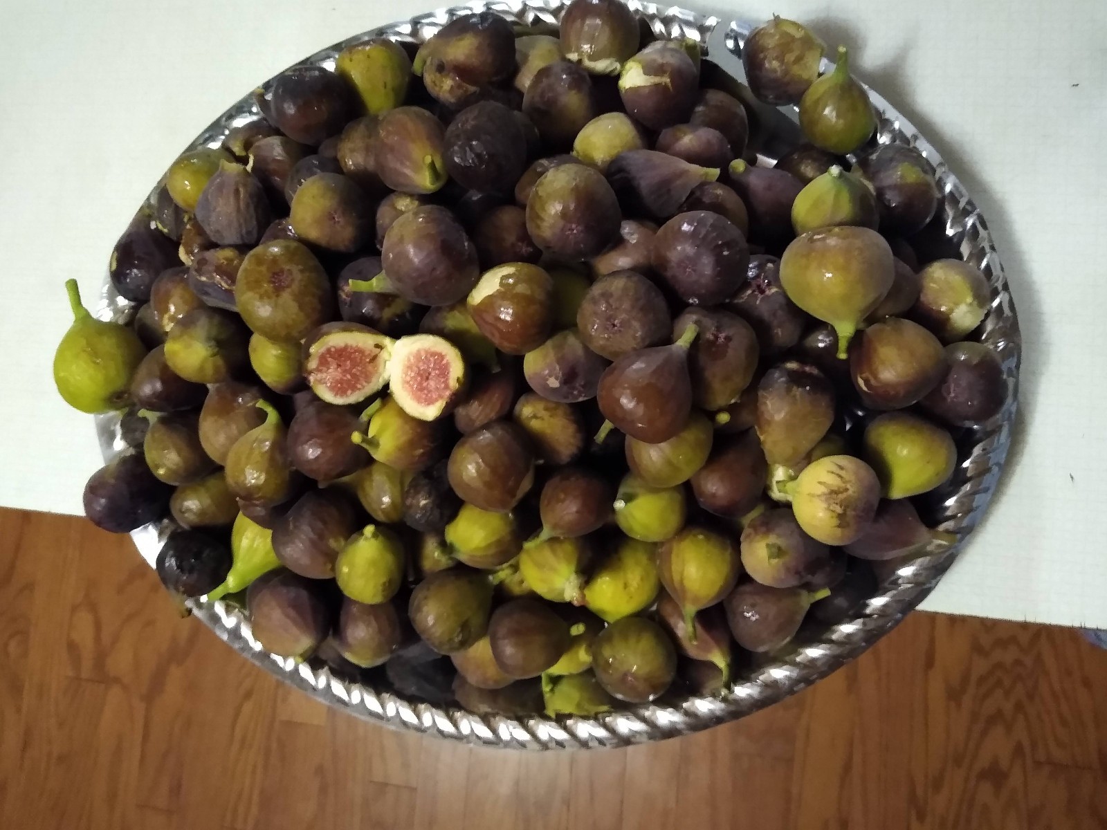 3 Florea Michurinska-10 FIG TREE CUTTINGS FRESH From Fruiting Tree For Rooting