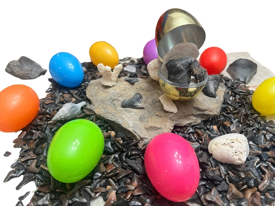 Dientes de tiburón huevos de Pascua precargados niños cesta relleno océano tema temporada playa Foto 2 de 4