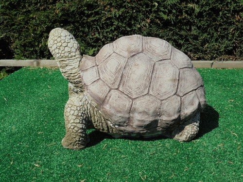 Tortoise concrete garden ornament - Picture 2 of 4