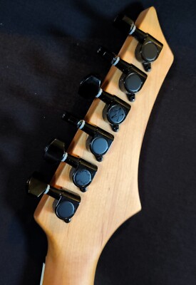 Leo Jaymz Monsoon Electric Guitar – Green Burl, Mahogany, Setup