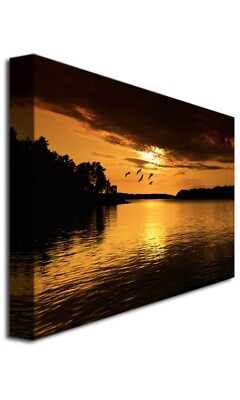 White Fly By Philippe Sainte-Laudy, 22x32  Canvas Wall Art