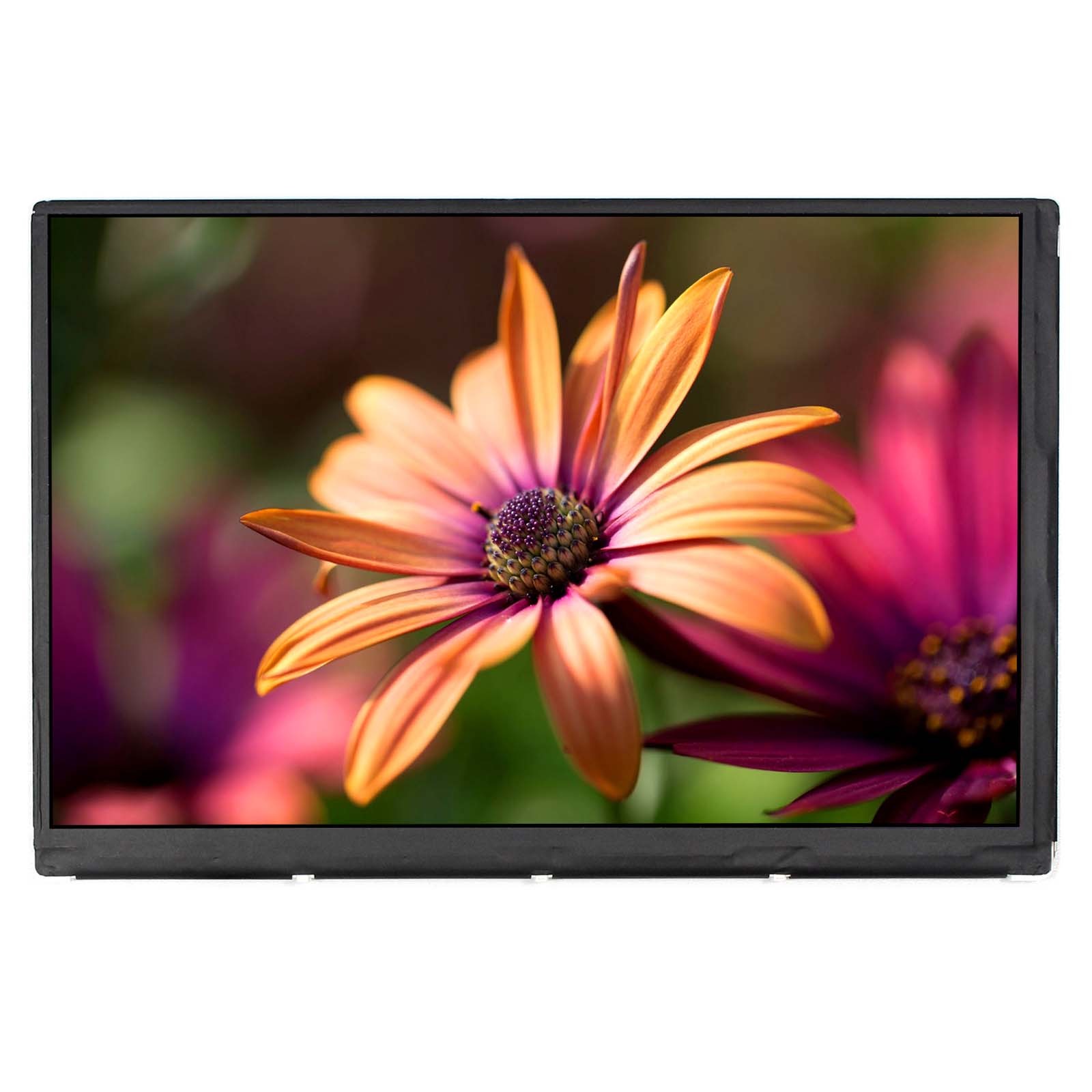innolux n070icg ips lcd panel factory