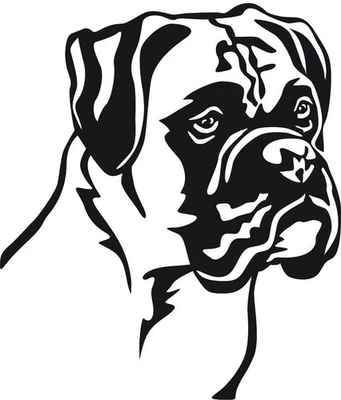 BOXER Aufkleber - Autoaufkleber - sticker - Deutscher Boxer Kopf #49 - Bild 1 von 3