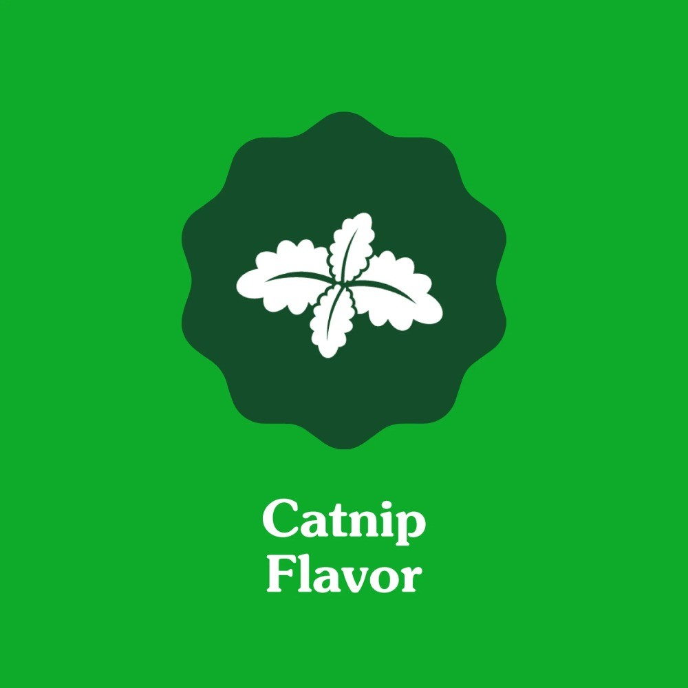 Feline Greenies Adult Natural Dental Care Cat Treats, Catnip Flavor, 21 Oz Tub