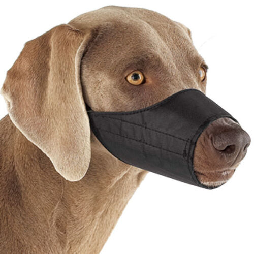 NYLON LINED MUZZLES for DOGS Black 9 Sizes Soft Dog Muzzle Collection - Afbeelding 1 van 4