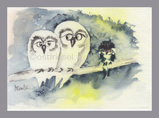 Original Aquarell,Eulen, Eule, Owl, Gufo, Uhl, Natur, Wald, Vogel, Sammeln