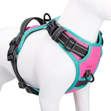 PHOEPET 2019 Upgraded No Pull Dog Harness, Reflective Adjustable L, Pink