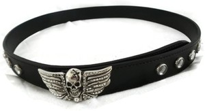 Washed Up Hollywood Belt | eBay