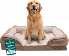 Memory Foam Dog Bed for Large Dogs W/ Removable Bolsters  Washable Cover, for D