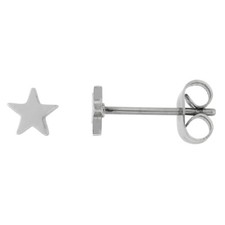 Small Stainless Steel Star Stud Earrings