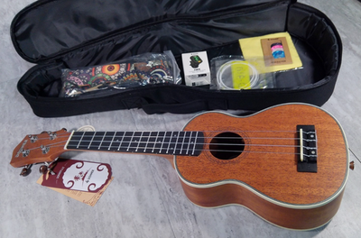 Donner Soprano Ukulele Beginner Kit 21inch Mahogany DUS-200 | eBay
