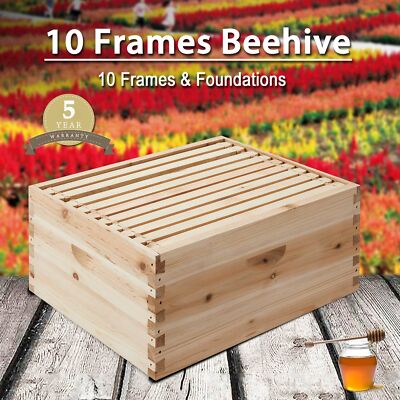 Single Layer 10-Frame Deep Size Beekeeping Kit Bee Hive House Frame