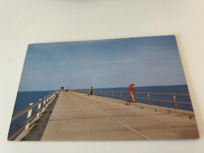 Fishing Scene on Overseas Highway to Key West Florida Postcard