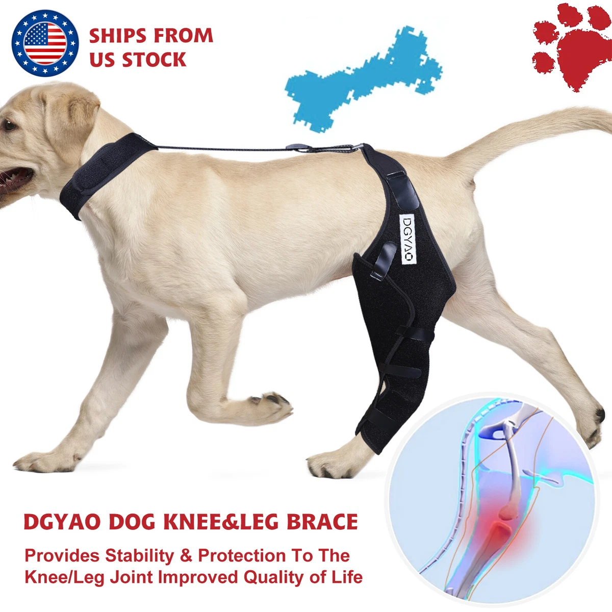 Dog Knee Brace Leg Brace for Sprain ACL Joint Arthritis Pet Dog Back Leg Support