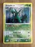 Pokémon TCG Sceptile 10/100 Stormfront Holo Rare MP
