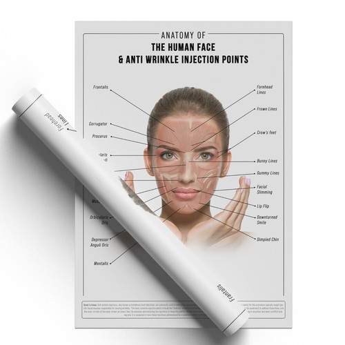 ANTI WRINKLE FACE ANATOMY DETAILED SKINCARE EDUCATIONAL POSTER PRINT A5-A1 - Picture 4 of 9