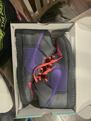 Mens 13 Nike Dunk SB ACG Pack Dark Shadow/Varsity Purple 317982 019