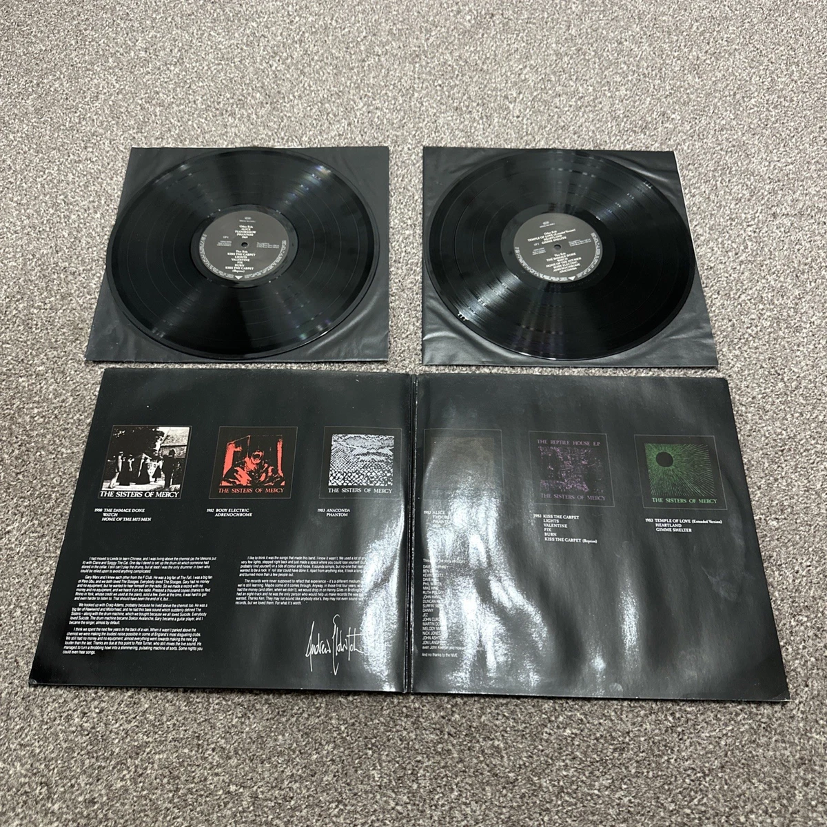 Las mejores ofertas en Rock The Sisters of Mercy Vinyl Records | eBay