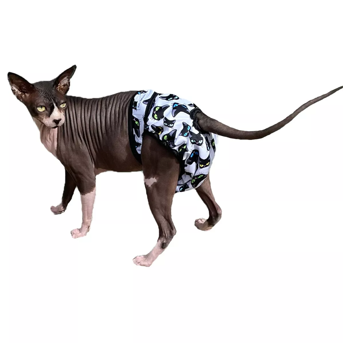 Kitty hotsell cat diapers