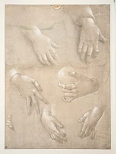 Raffaellino Del Garbo: Studies Of Hands, LITHOGRAPHY, 1923