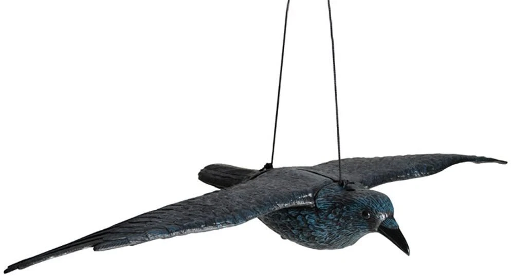 Greifvogel Abwehr Royal Gardineer Vogelabwehr Falke: 2er-Set Vogelschreck "Falke" Zum Aufhängen, 5 Schutz Vor Tauben