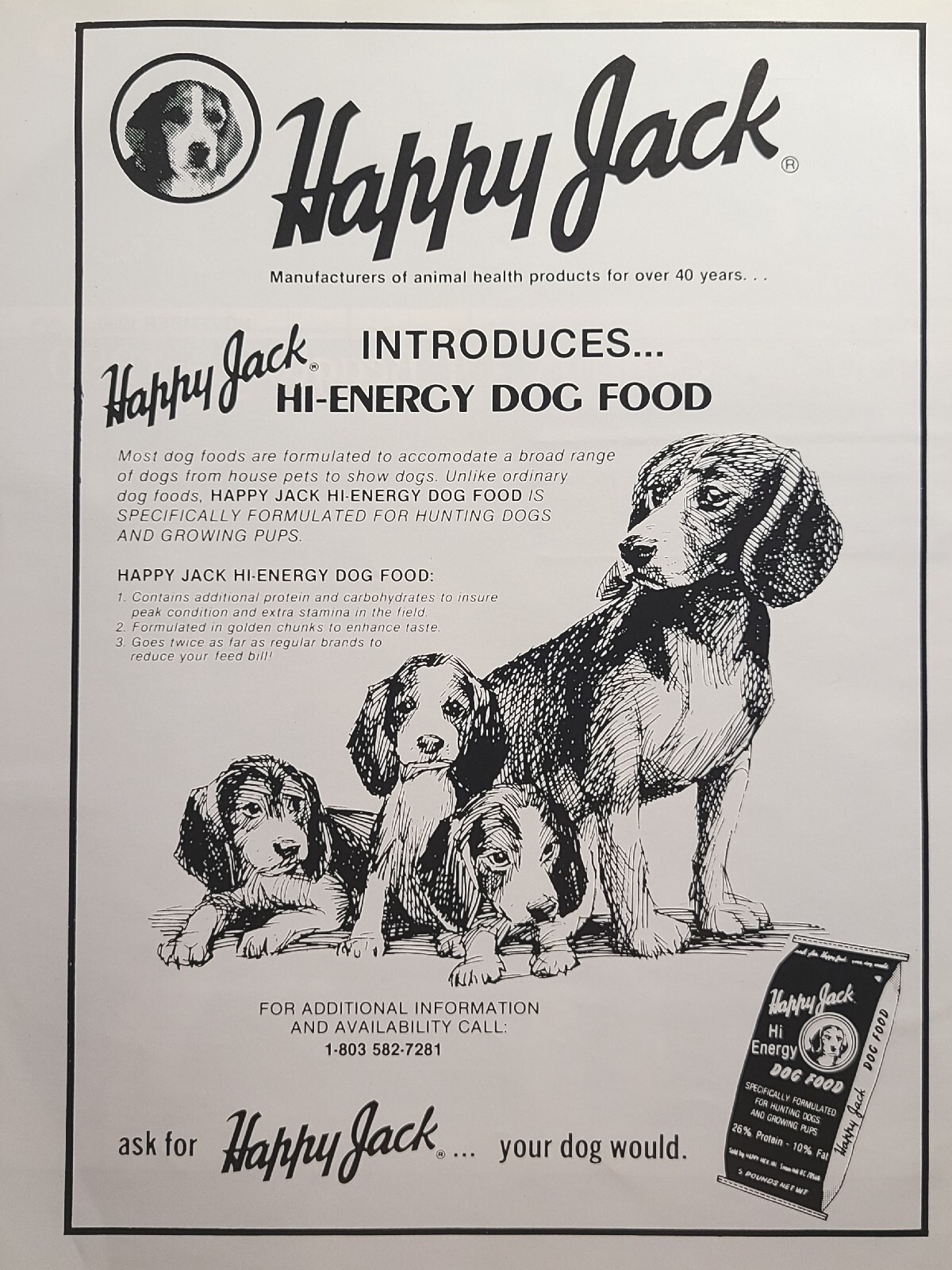 Beagle And Puppies Vintage Print Ad 1990