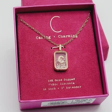 C Initial Letter Monogram CZ Gold Dipped Shaker Necklace 16 Inch w Extender Box