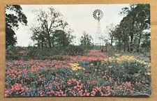 VINTAGE UNUSED  POSTCARD - SPLASHES OF COLOR, TEXAS HILL COUNTRY IN SPRING