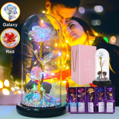 Enchanted Preserved Rose Flower In Dome Glass LED Night Light