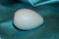 LP Glow In The Dark Shaker Egg Sold Each, LP001-GLO