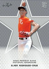 ELMER RODRIGUEZ-CRUZ 2020 