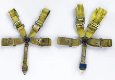 5-Point Seat Belt Pair (2) RJS Racing Equipment 5-Point Cam-Lock Racing Harness