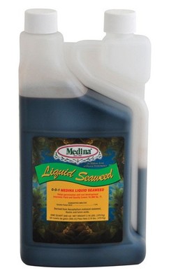 Medina Organic Liquid Seaweed 1 qt