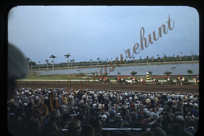 Horse Racing Gulfstream Park Florida 35mm Slide 1940s Red Border Kodachrome 1949
