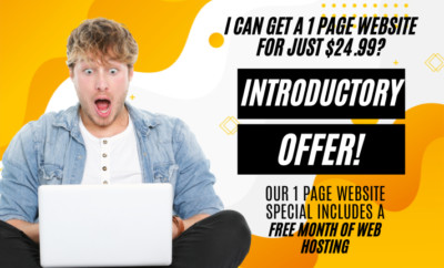 1 PAGE PROFESSIONAL WEBSITE DESIGN  FOR PERSONAL / BUSINESS WITH 1 MO WEBHOSTING