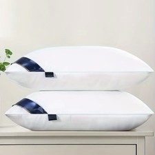 2 Cuscini Fiocco Memory In Aloe Vera