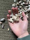 🔥Huge Mixed Fossil Lot Shell Coral Crinoid Pieces Natural Bulk Collection🔥 — photo 2