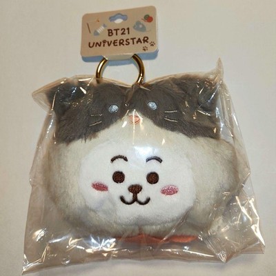 BT21 PLÜSCH PASSCASE CAT DAY Jin aus Japan Neu