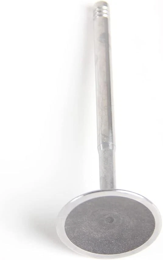 进气和出口阀套件适用于宝马 318i 320i 520i X1 X3 E46 E60 E90 E92 N42 — 第 3/4 张图片