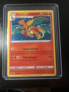 Delivery Charizard | eBay
