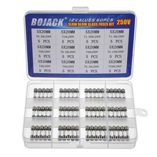 BOJACK 12 Values 60 pcs Slow Blow AG95134, 5x20mm Slow-blow Glass Fuse “T”