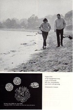 1968 Vintage print ad Jewelry De Beers Diamonds Beach Happy Echo Engagement