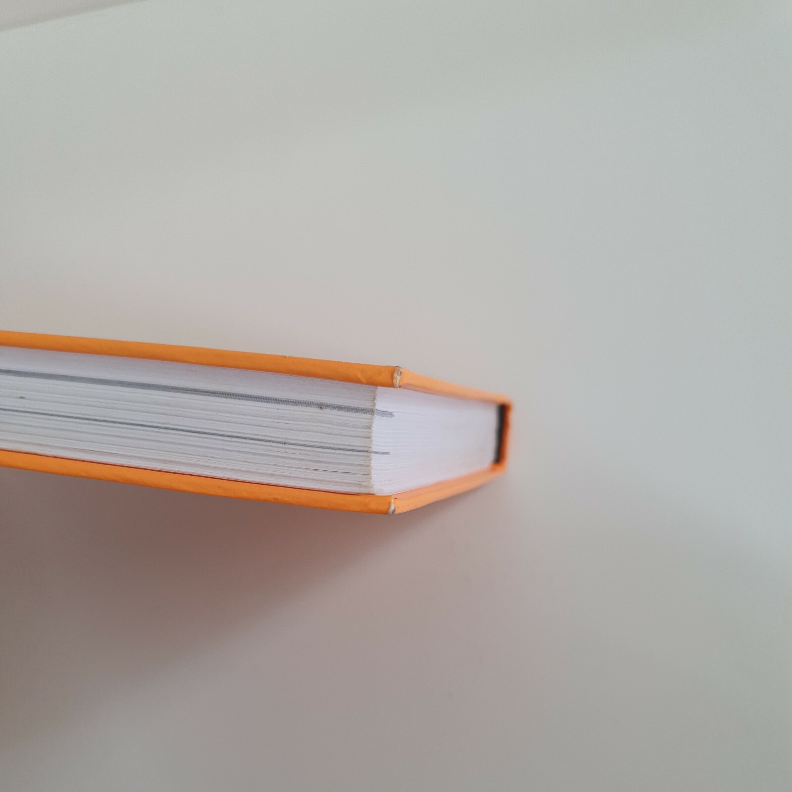 The Abs Diet by David Zinczenko EditorinChief of Men's Health