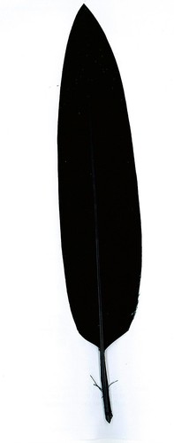 Penna Ginnica per Cappello Alpino Flessibile | eBay