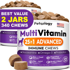  2 Pack Multivitamin Chews for Dogs