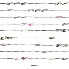 Roboworm Straight Tail Worm Fishing Lure